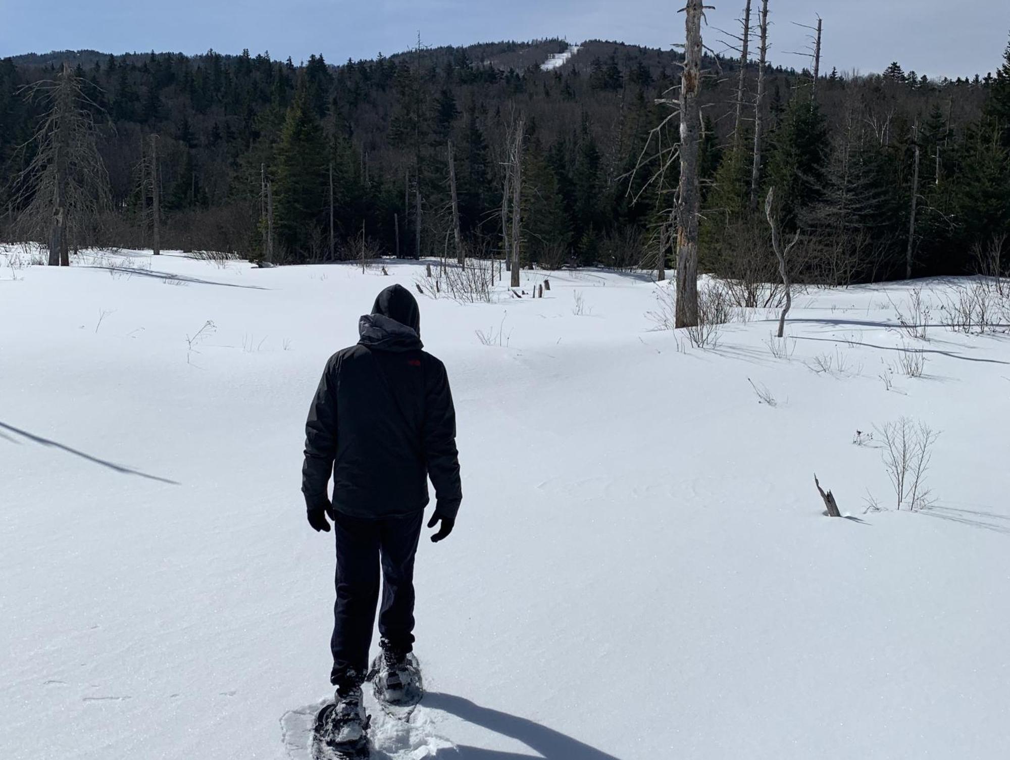 Carroll Bretton Woods Ski מראה חיצוני תמונה