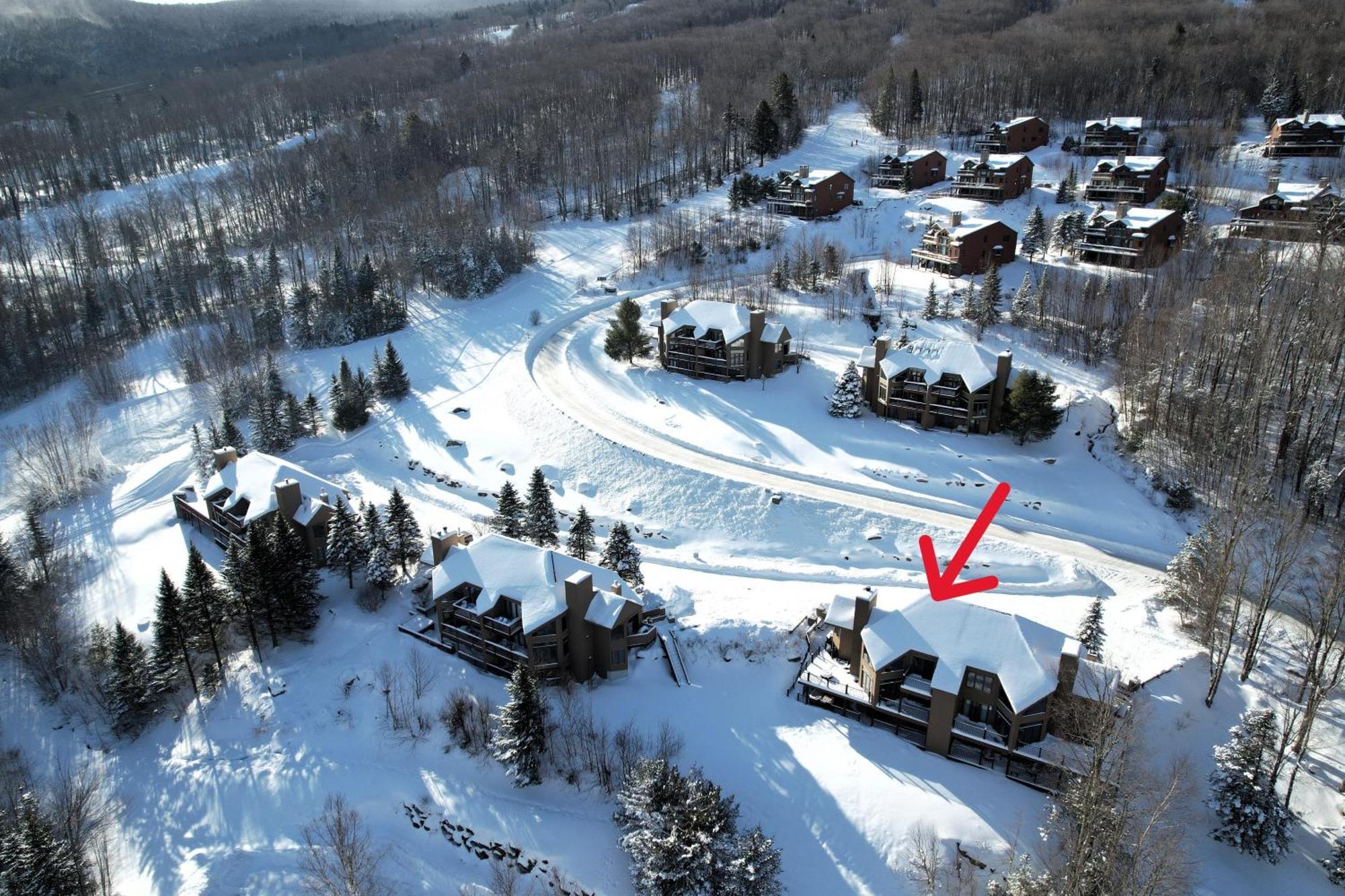 Carroll Bretton Woods Ski מראה חיצוני תמונה